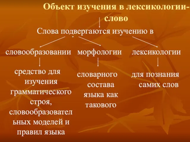 Объект изучения в лексикологии-слово Слова подвергаются изучению в морфологии лексикологии средство для