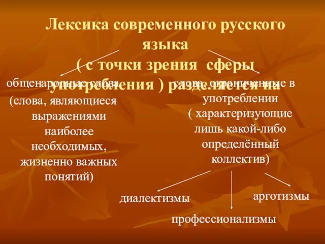 Лексика современного русского языка ( с точки зрения сферы употребления ) разделяется