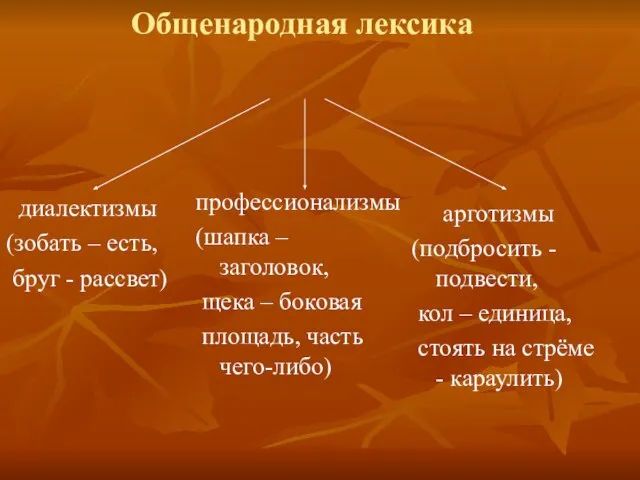 Общенародная лексика диалектизмы (зобать – есть, бруг - рассвет) профессионализмы (шапка –