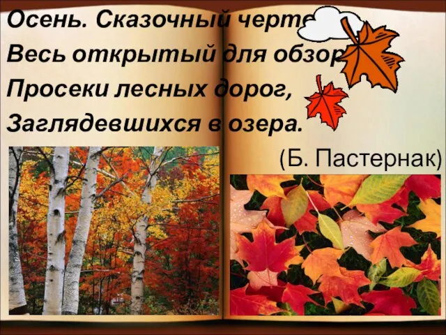 Осень. Сказочный чертог, Весь открытый для обзора. Просеки лесных дорог, Заглядевшихся в озера. (Б. Пастернак)