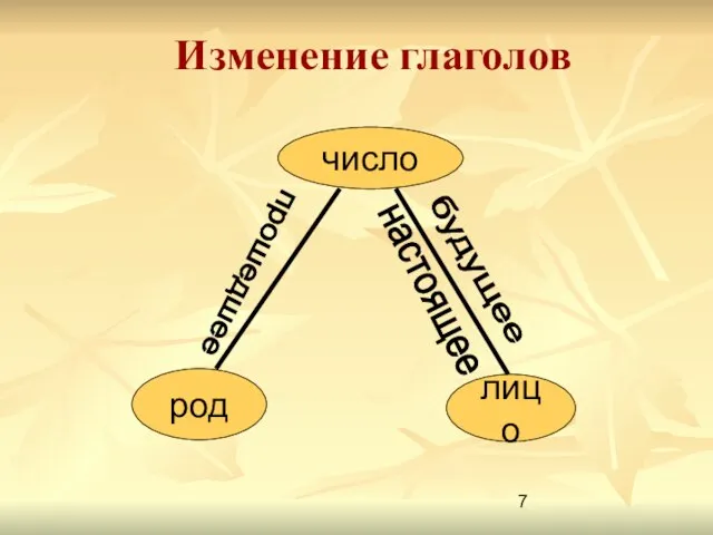 Изменение глаголов число род прошедшее лицо будущее настоящее