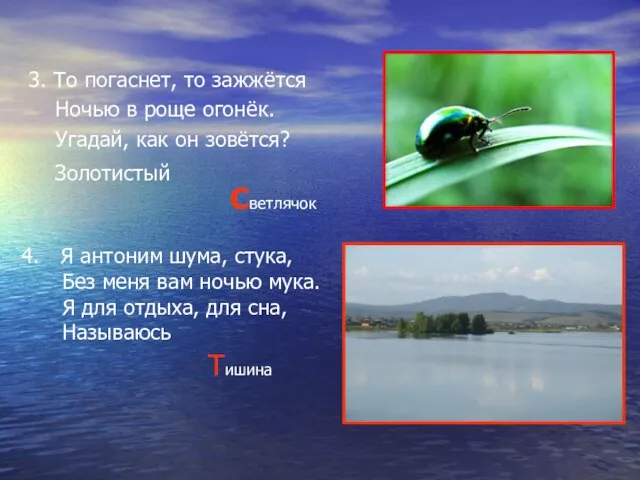 3. То погаснет, то зажжётся Ночью в роще огонёк. Угадай, как он