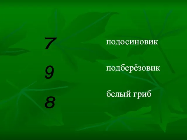 7 9 8 подосиновик подберёзовик белый гриб