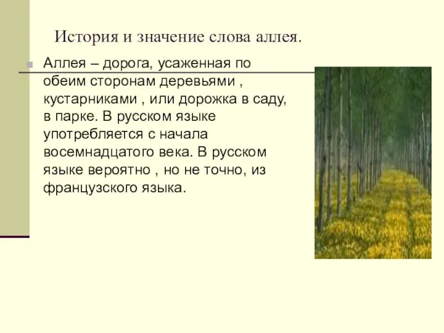 История и значение слова аллея. Аллея – дорога, усаженная по обеим сторонам