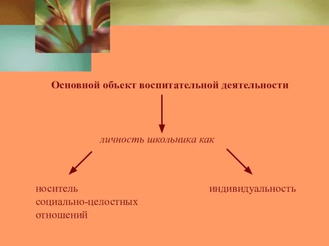 Основной объект воспитательной деятельности личность школьника как носитель социально-целостных отношений индивидуальность