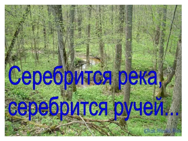 Серебрится река, серебрится ручей...