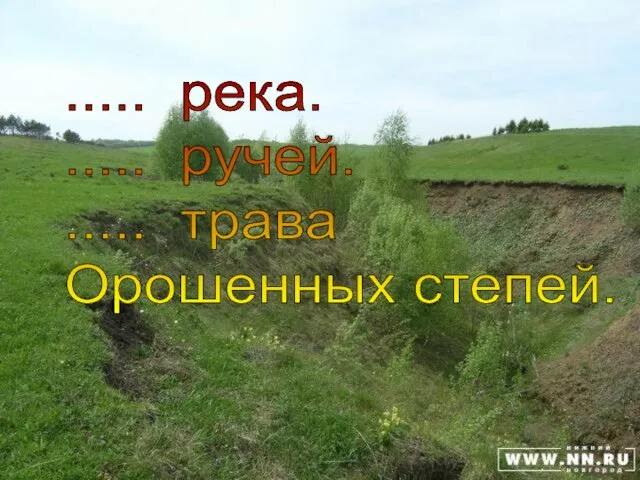 ..... река. ..... ручей. ..... трава Орошенных степей.