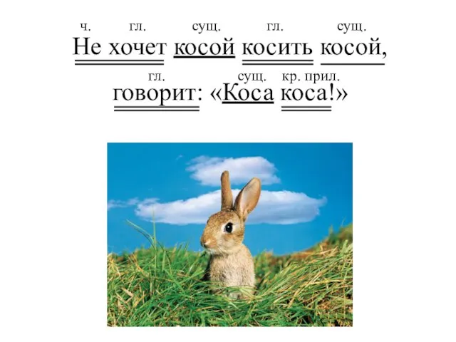 Не хочет косой косить косой, говорит: «Коса коса!» гл. сущ. кр. прил.