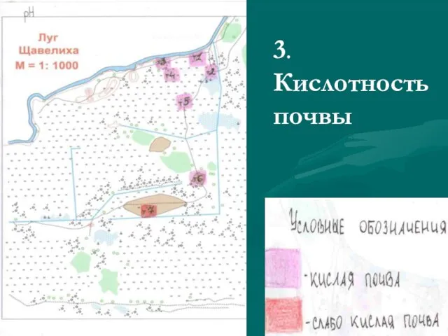 3. Кислотность почвы