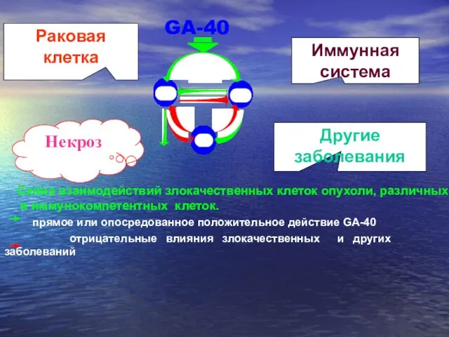 Иммунная система Раковая клетка Другие заболевания Некроз GA-40 Схема взаимодействий злокачественных клеток