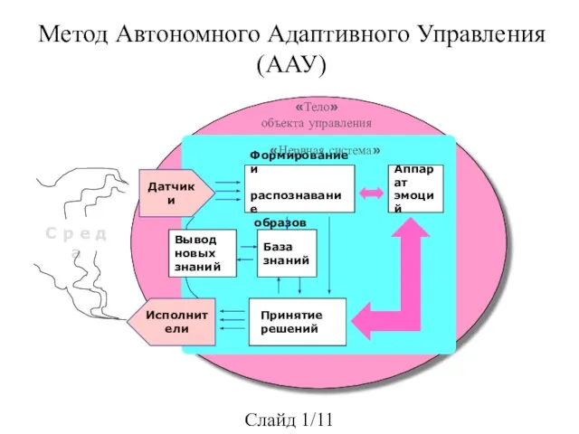 Метод Автономного Адаптивного Управления (ААУ) Cлайд 1/11