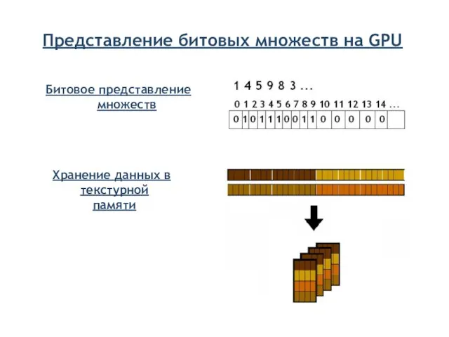 Представление битовых множеств на GPU Хранение данных в текстурной памяти Битовое представление множеств