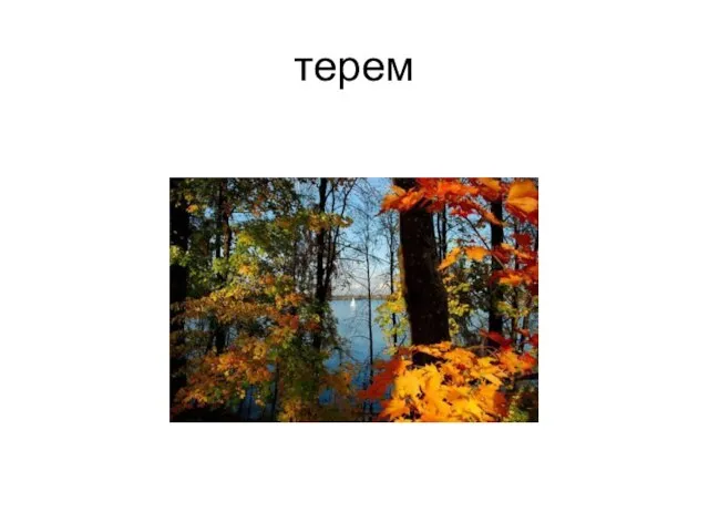 терем