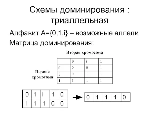 Схемы доминирования : триаллельная Алфавит А={0,1,i} – возможные аллели Матрица доминирования: