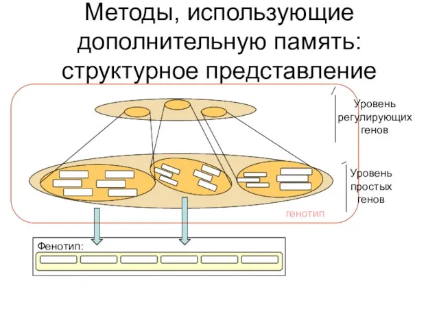 Методы, использующие дополнительную память: структурное представление генотип Уровень регулирующих генов Уровень простых генов