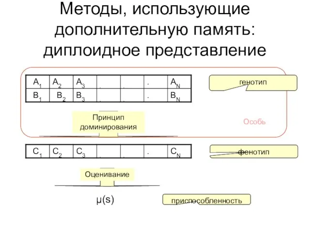 Методы, использующие дополнительную память: диплоидное представление μ(s) генотип фенотип приспособленность