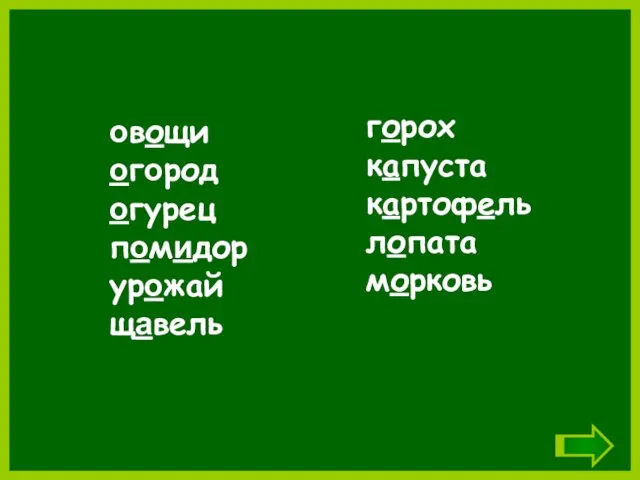 овощи огород огурец помидор урожай щавель горох капуста картофель лопата морковь