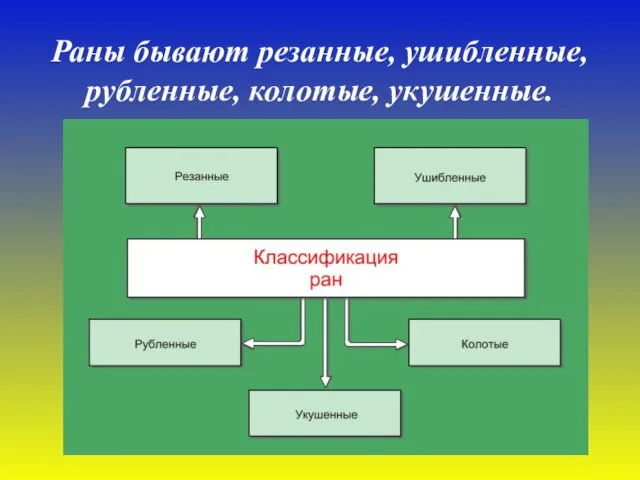 Раны бывают резанные, ушибленные, рубленные, колотые, укушенные.