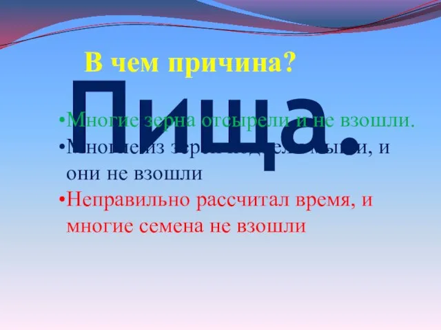 Пища. В чем причина? Многие зерна отсырели и не взошли. Многие из