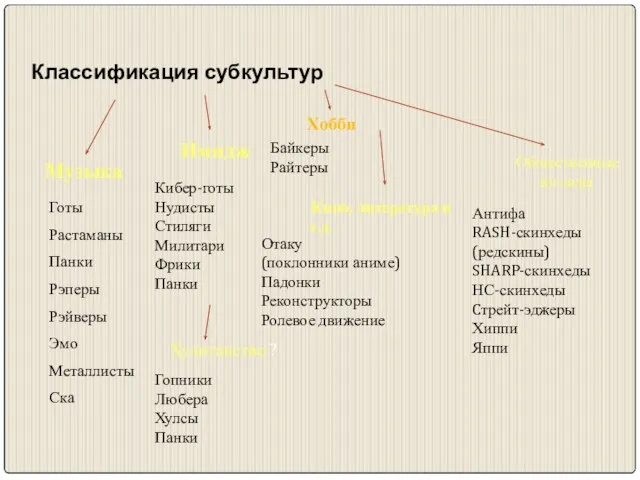 Классификация субкультур Музыка Имидж Хобби Общественные взгляды Кино, литература и т.д. Хулиганство