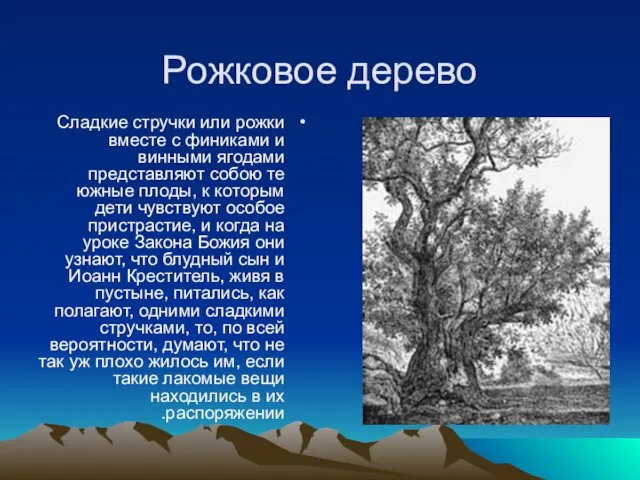 Рожковое дерево Сладкие стручки или рожки вместе с финиками и винными ягодами