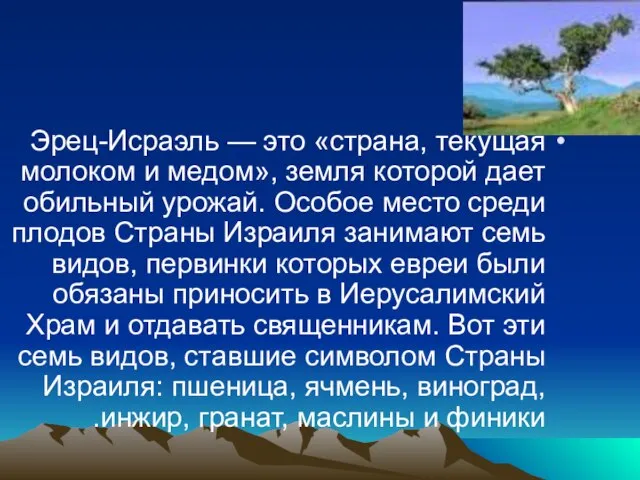 Эрец-Исраэль — это «страна, текущая молоком и медом», земля которой дает обильный