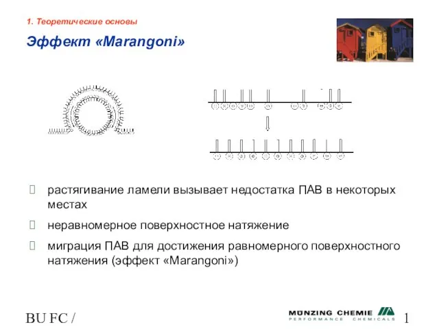 BU FC / HL 1. Теоретические основы растягивание ламели вызывает недостатка ПАВ