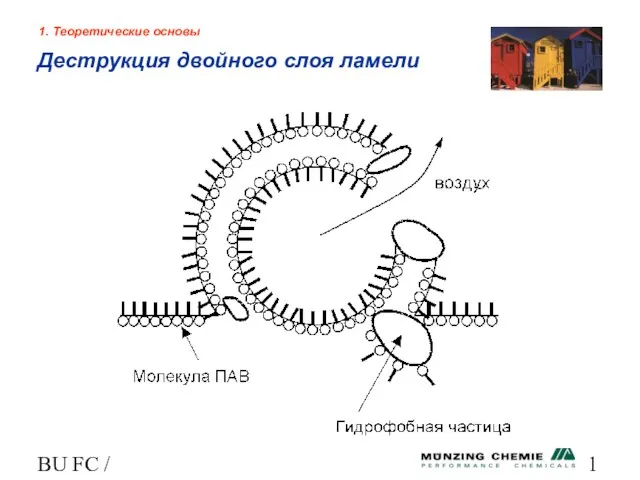 BU FC / HL 1. Теоретические основы Деструкция двойного слоя ламели