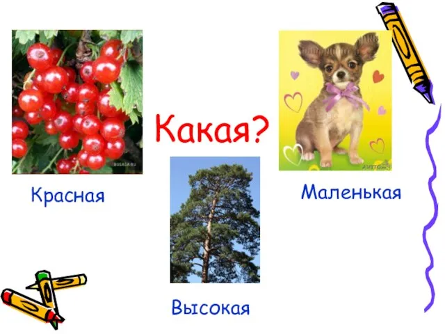 Какая? Красная Маленькая Высокая