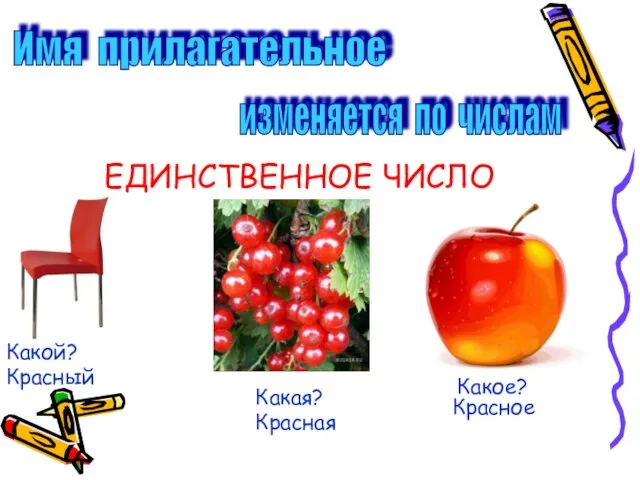 ЕДИНСТВЕННОЕ ЧИСЛО Имя прилагательное изменяется по числам Какой? Какая? Какое? Красный Красная Красное