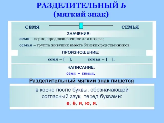 РАЗДЕЛИТЕЛЬНЫЙ Ь (мягкий знак) ЗНАЧЕНИЕ: семя – зерно, предназначенное для посева; семья