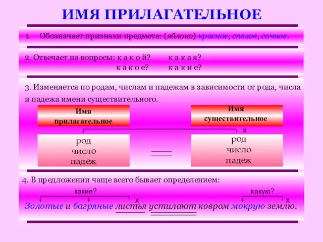 ИМЯ ПРИЛАГАТЕЛЬНОЕ Обозначает признаки предмета: (яблоко) красное, спелое, сочное. 2. Отвечает на