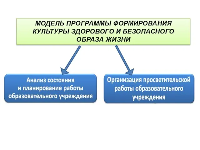 МОДЕЛЬ ПРОГРАММЫ ФОРМИРОВАНИЯ КУЛЬТУРЫ ЗДОРОВОГО И БЕЗОПАСНОГО ОБРАЗА ЖИЗНИ