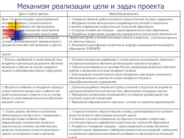 Механизм реализации цели и задач проекта