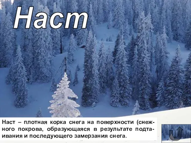 Наст Наст – плотная корка снега на поверхности (снеж-ного покрова, образующаяся в