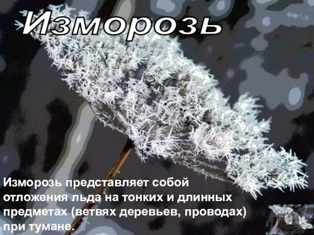 Изморозь Изморозь представляет собой отложения льда на тонких и длинных предметах (ветвях деревьев, проводах) при тумане.