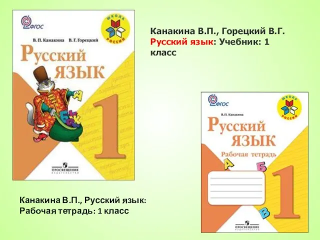 Канакина В.П., Горецкий В.Г. Русский язык: Учебник: 1 класс Канакина В.П., Русский