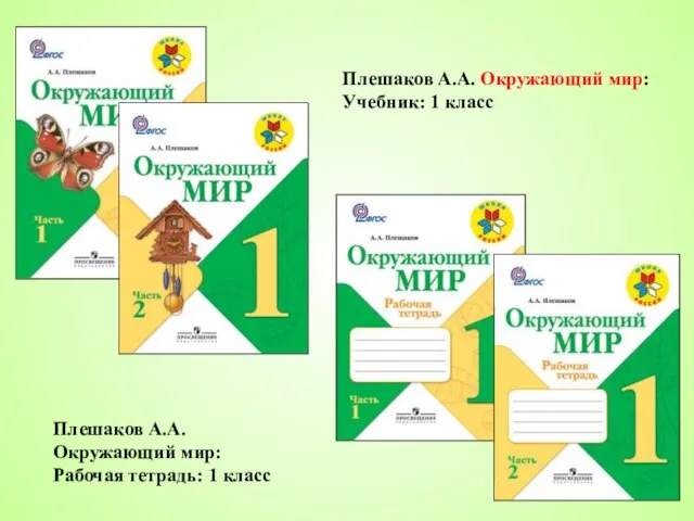 Плешаков А.А. Окружающий мир: Учебник: 1 класс Плешаков А.А. Окружающий мир: Рабочая тетрадь: 1 класс