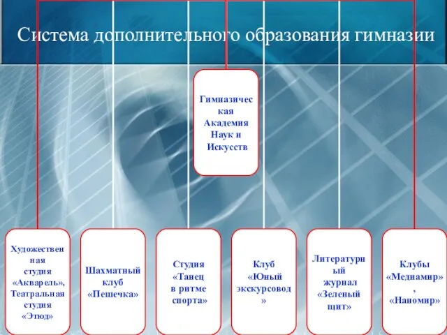 Система дополнительного образования гимназии