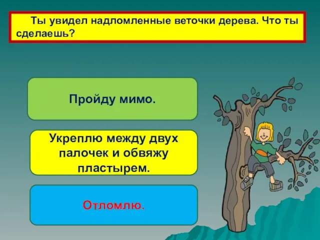 Ты увидел надломленные веточки дерева. Что ты сделаешь? Пройду мимо. Укреплю между