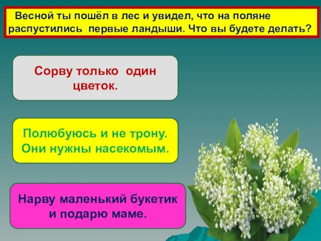 Весной ты пошёл в лес и увидел, что на поляне распустились первые