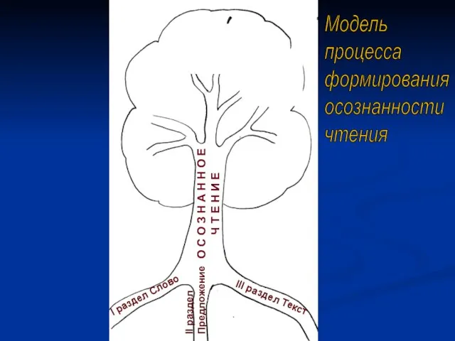 I раздел Слово II раздел Предложение III раздел Текст О С О