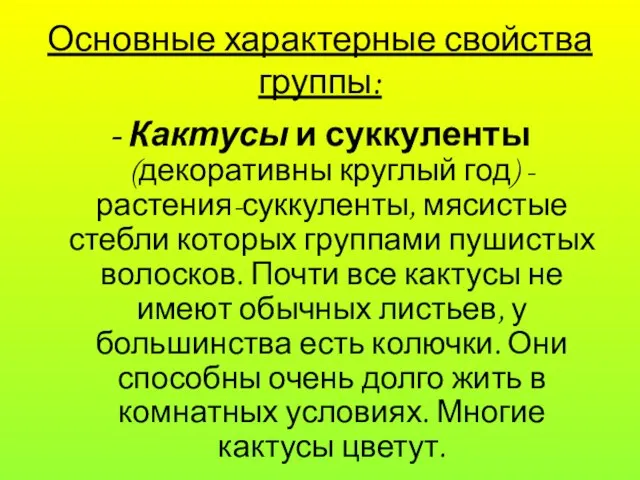 Основные характерные свойства группы: - Кактусы и суккуленты (декоративны круглый год) -