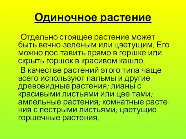 Одиночное растение Отдельно стоящее растение может быть вечно-зеленым или цветущим. Его можно