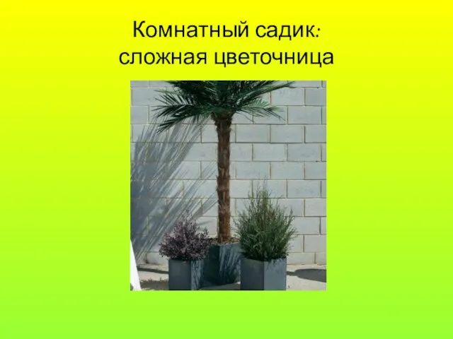 Комнатный садик: сложная цветочница