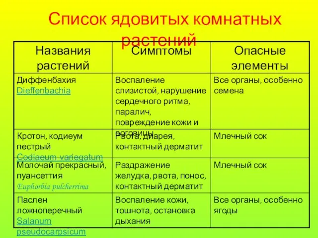 Список ядовитых комнатных растений