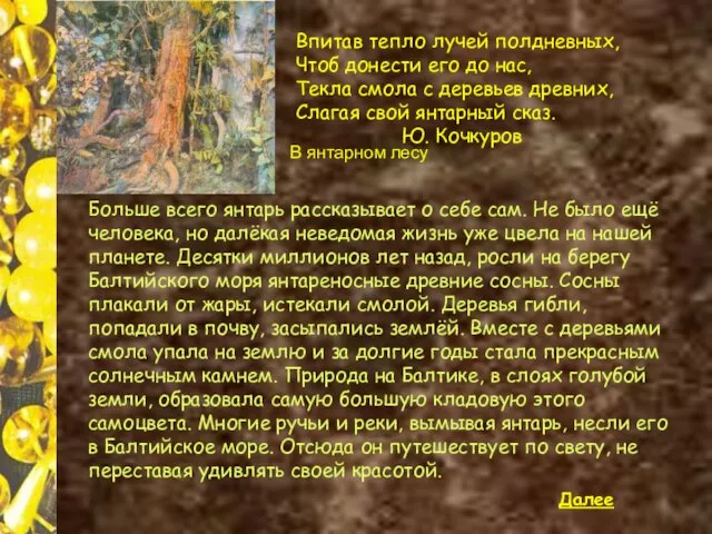 Больше всего янтарь рассказывает о себе сам. Не было ещё человека, но