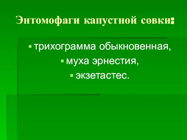 Энтомофаги капустной совки: трихограмма обыкновенная, муха эрнестия, экзетастес.