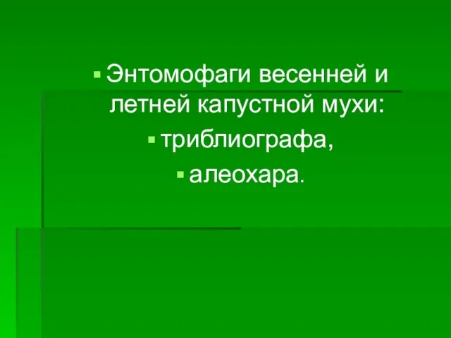 Энтомофаги весенней и летней капустной мухи: триблиографа, алеохара.