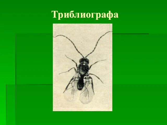 Триблиографа